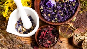 Read more about the article Understanding Herbalism Meaning: A Guide to Nature’s Healing Power